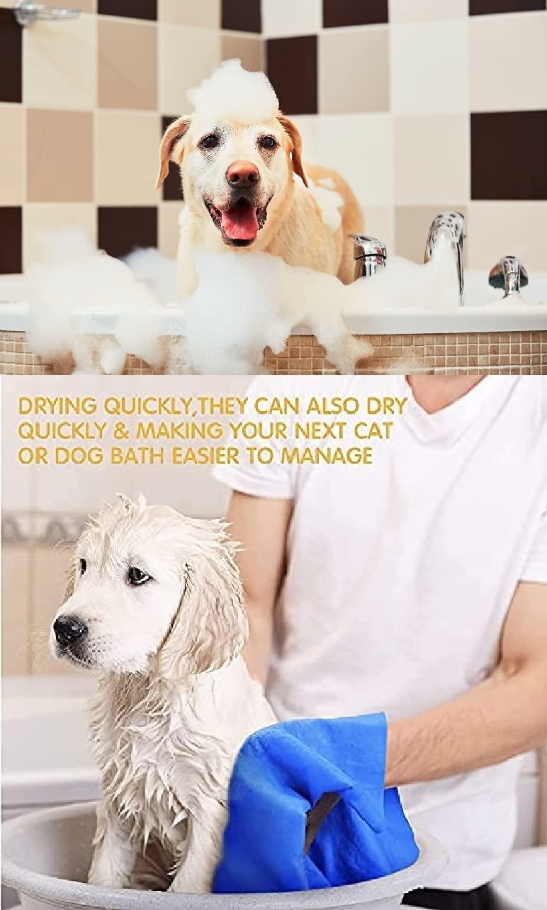 13888